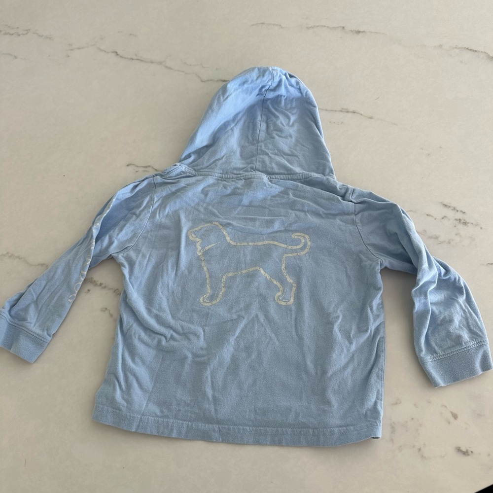 The Black Dog Light Blue Kids Hoodie